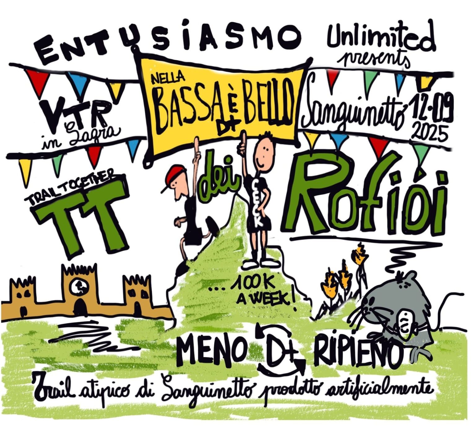 Roifioi TT VTR